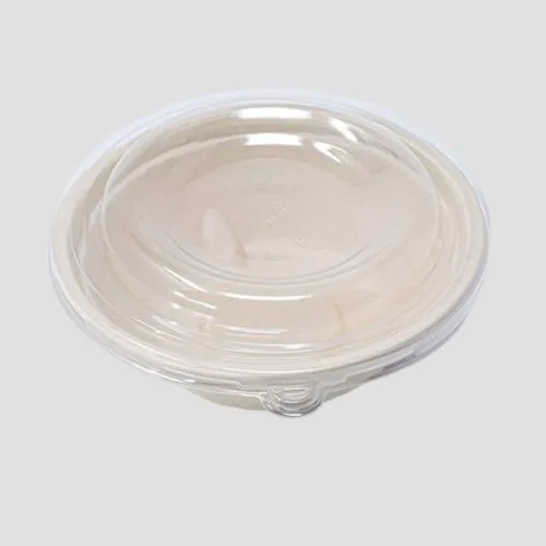 Bagasse bowl with clear PET lid