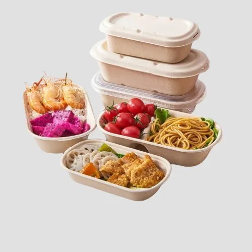 Sugarcane bagasse take-out box