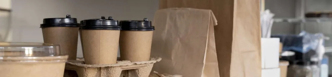 Direct Eco Green catalog of eco-friendly packaging