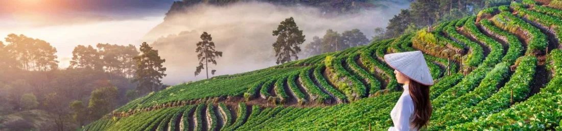 Landscape in Vietnam