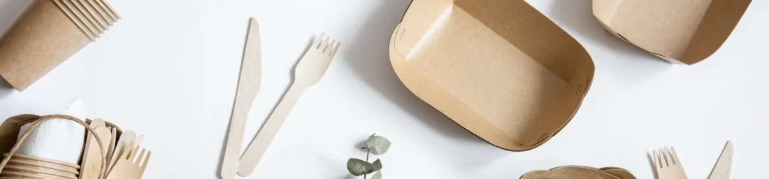 Disposable Food Packaging Wholesale: Compliant Single-Use Range