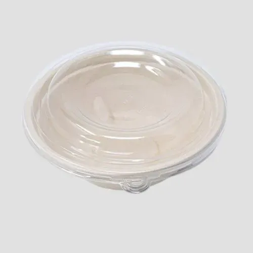 Bagasse bowl with clear PET lid