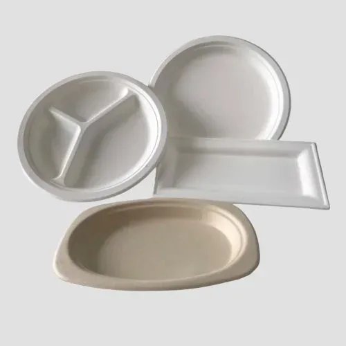 Sugarcane bagasse plates and trays in natural color
