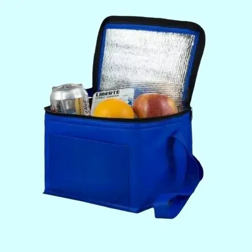 Blue insulated cooler bag with shoulder strap