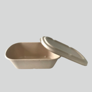 Bagasse bowl with lid