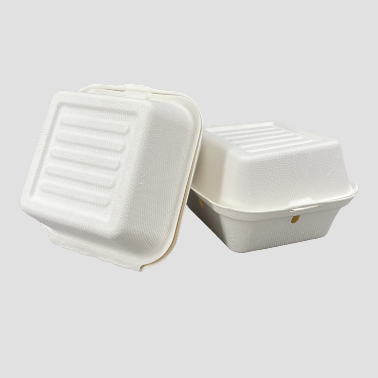 Bagasse plates and trays with PET lids - Directecogreen