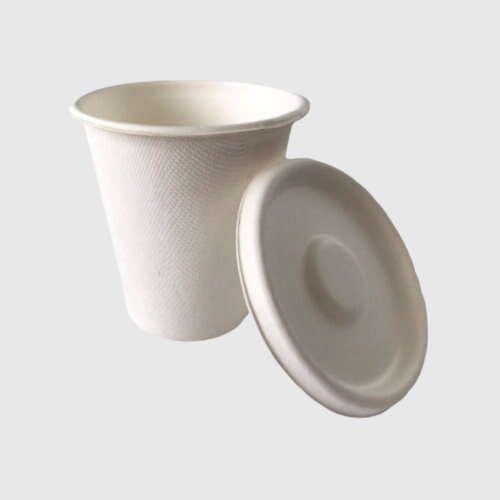 Bagasse cup with lid