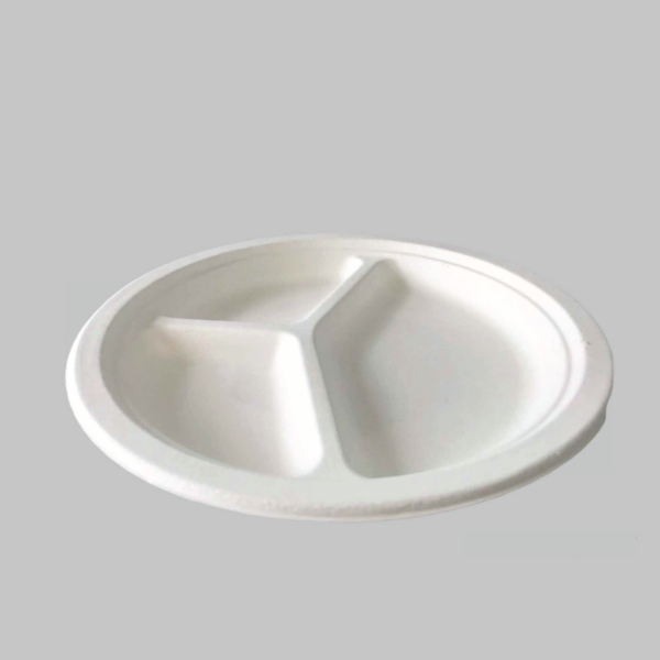 Bagasse plate with containers