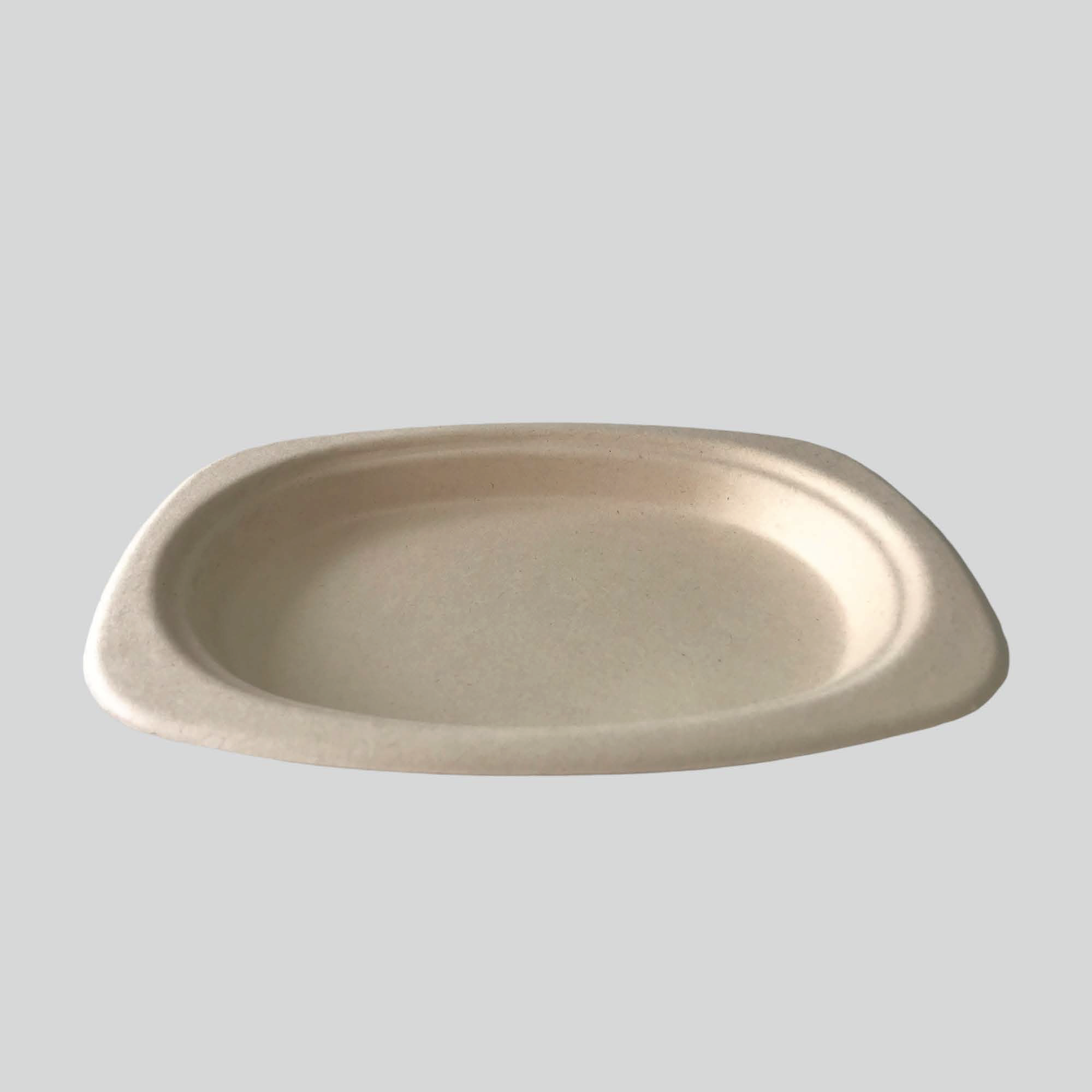 Bagasse plates and trays with PET lids - Directecogreen