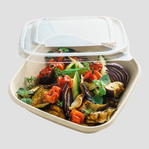 Bagasse square plate with PET lid