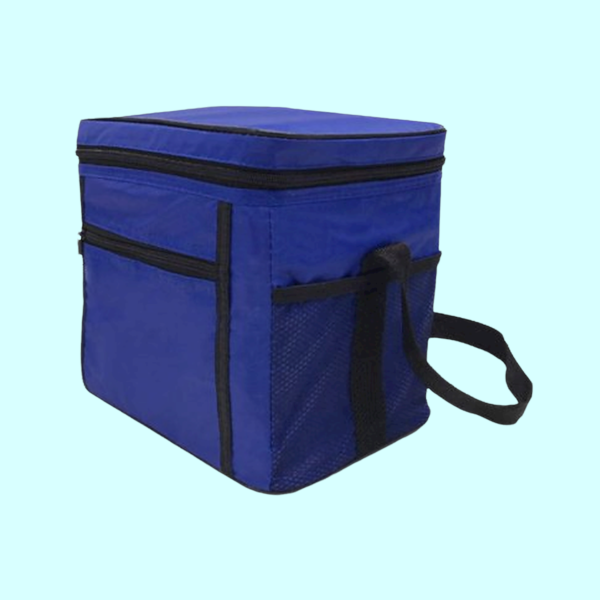 Eco friendly cooler bag