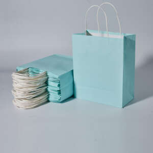Blue Kraft paper lunch bags with handles