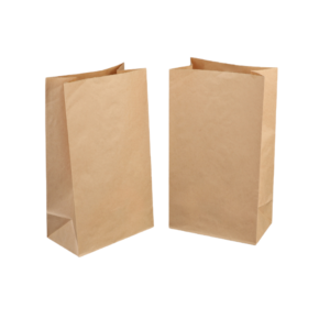 Kraft paper lunch bags
