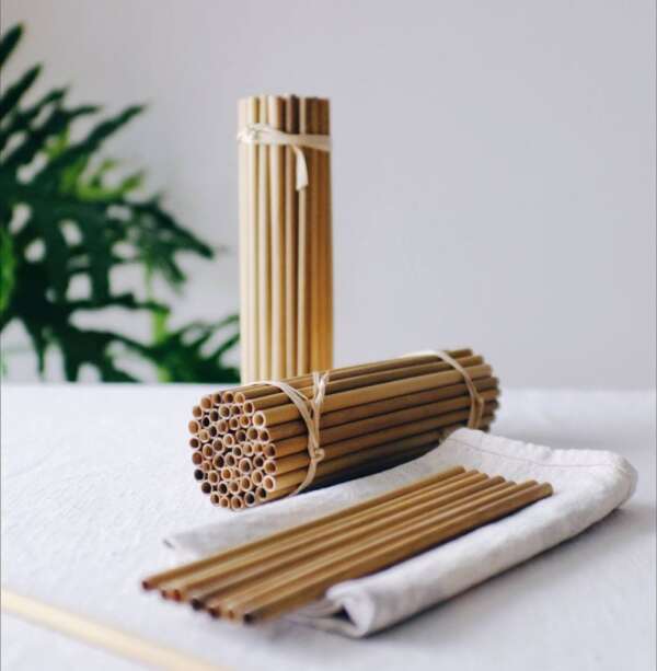 Reusable disposable reed straws