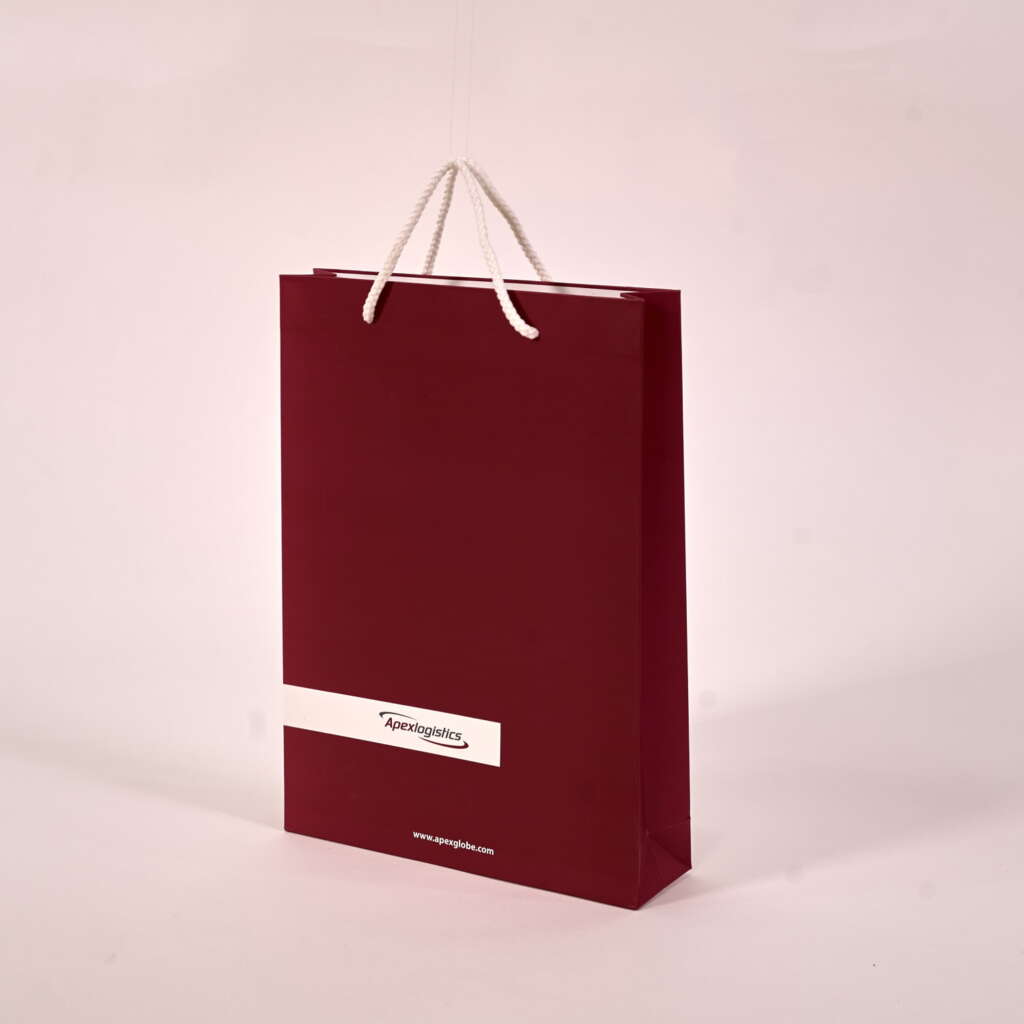 Luxury gift bags with ribbon handles Directecogreen